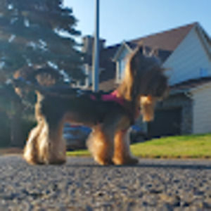 Meet your Posher, Zinaida